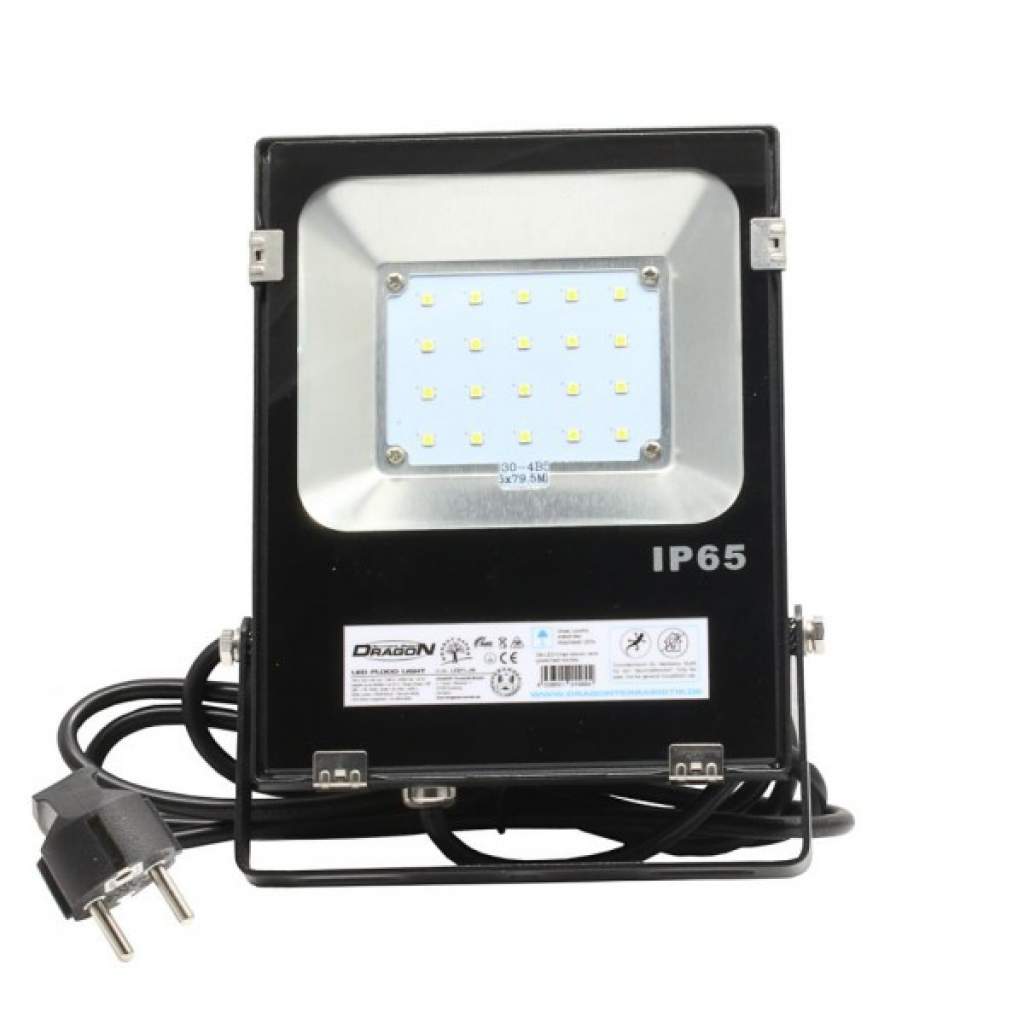 LED Flood Light